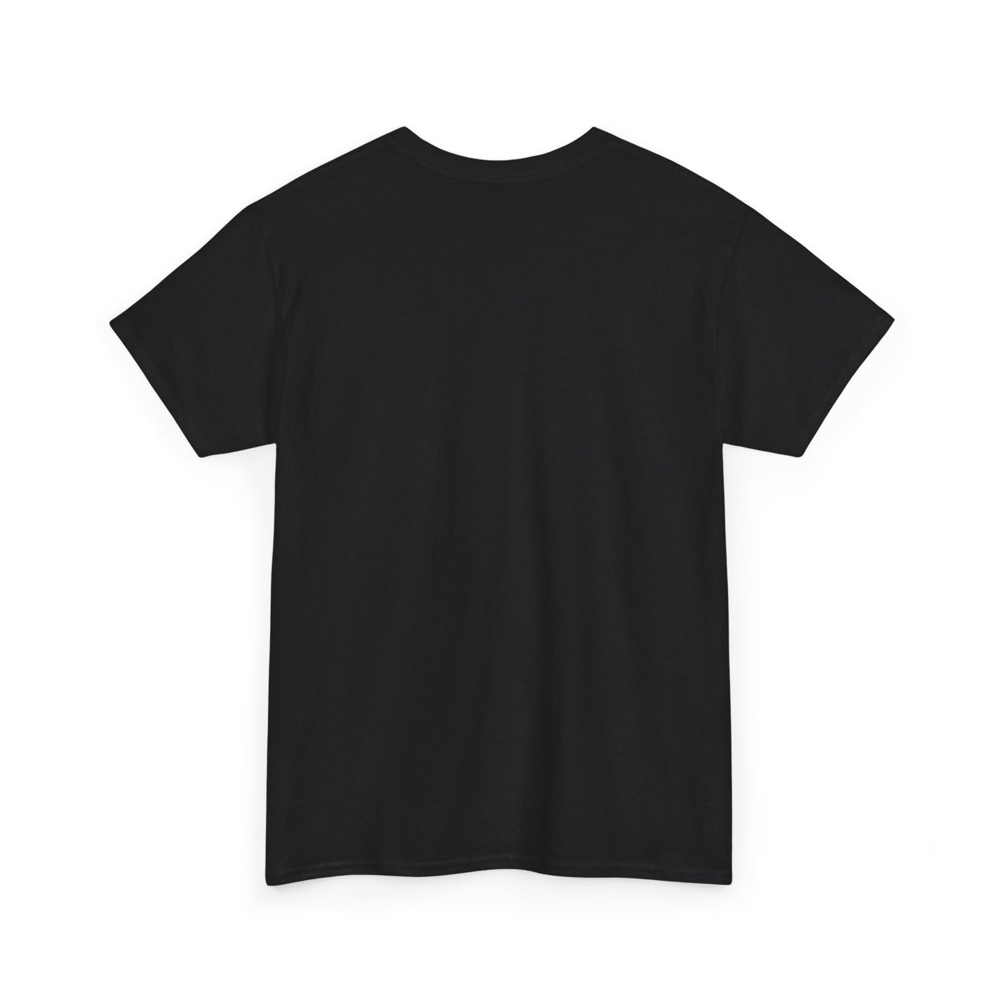 Flagami T