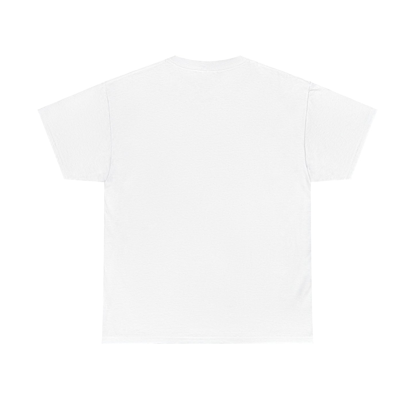 Flagami T
