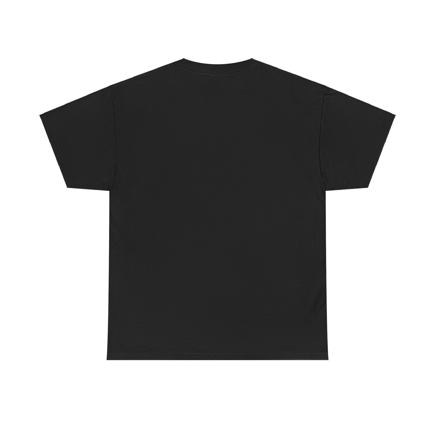 Flagami T