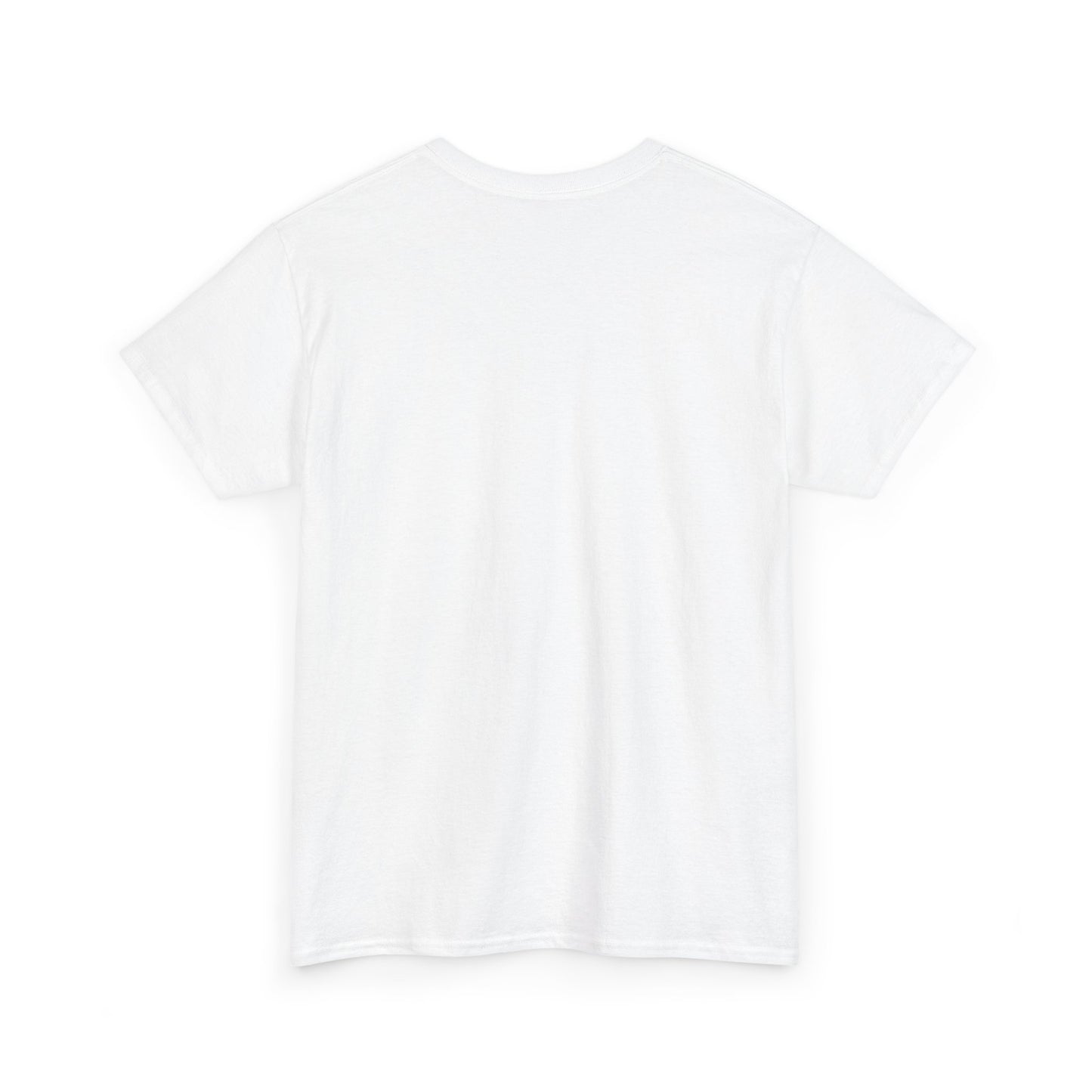 Flagami T