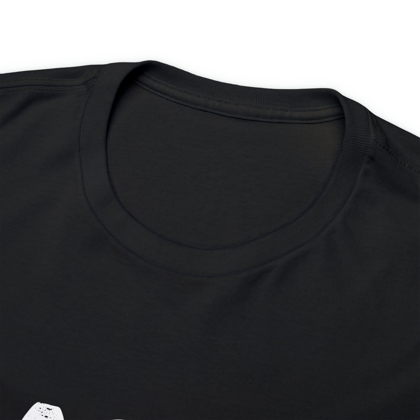 Flagami T Shirt