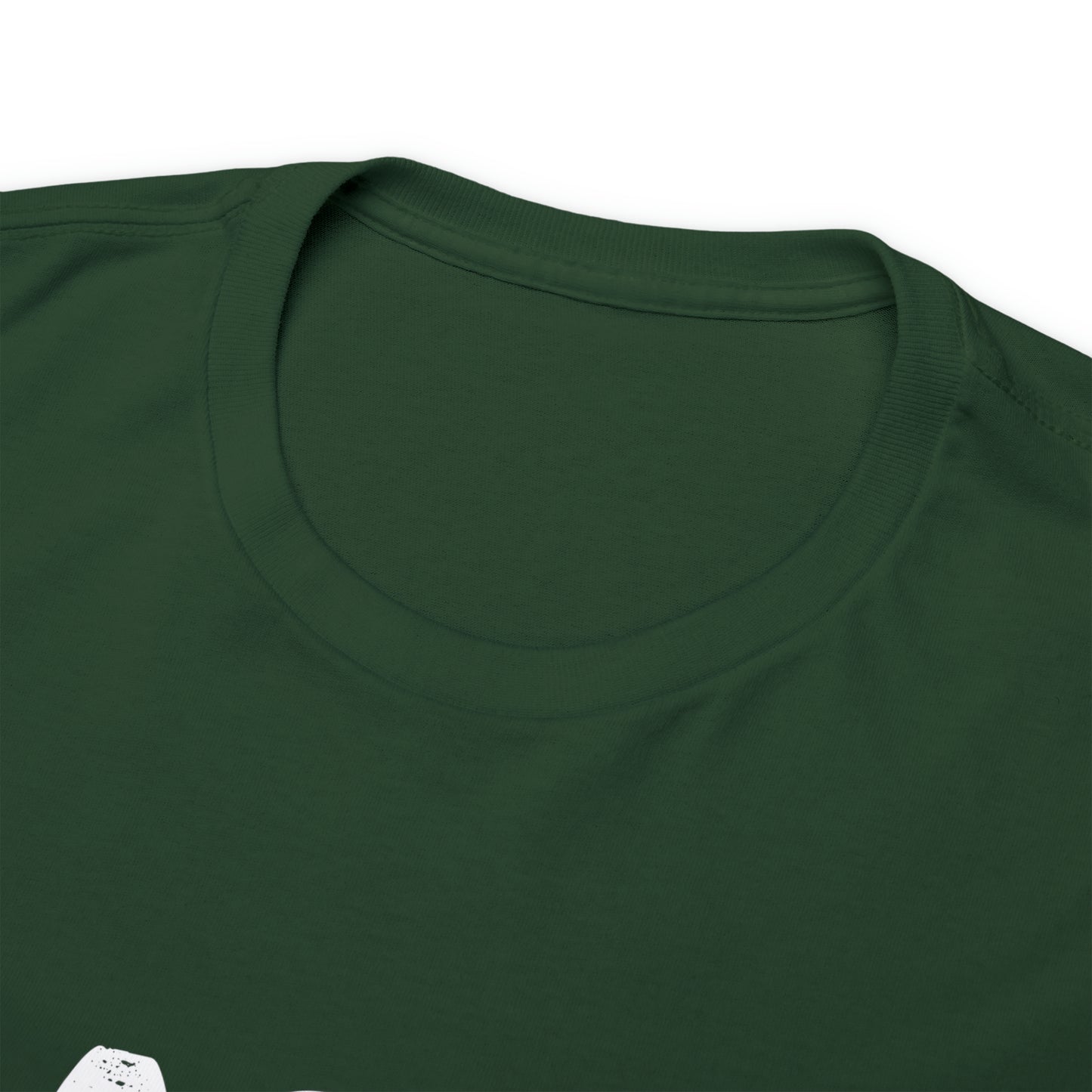 Flagami T Shirt